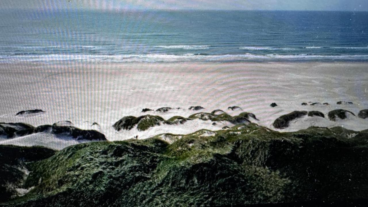Veludstyret sommerhus i unik natur 350 m fra lækker badestrand - helårsbolig - Chambres d'hôtes Saltum