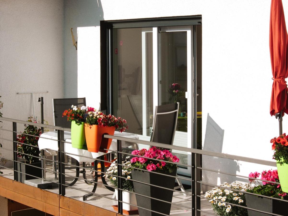 Ferienwohnung Haus Schneider - B&B