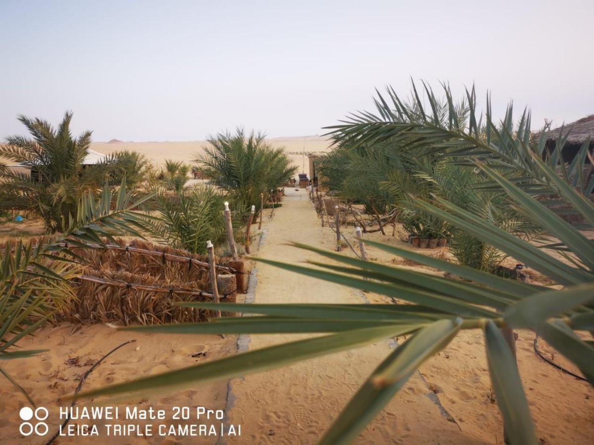 Karam Siwa Camp - B&B