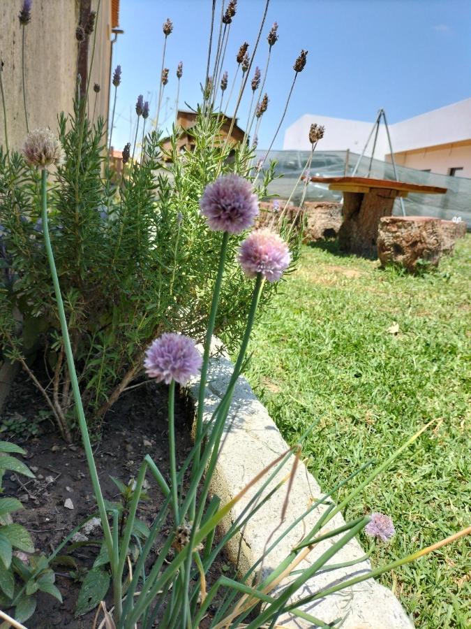 Casa con 2 Camere da Letto