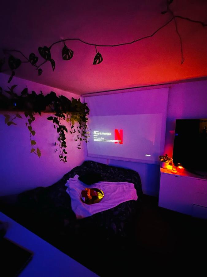 Appartement 1 Chambre