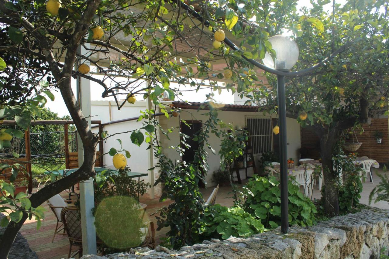 Villa Belfronte - B&B Floridia
