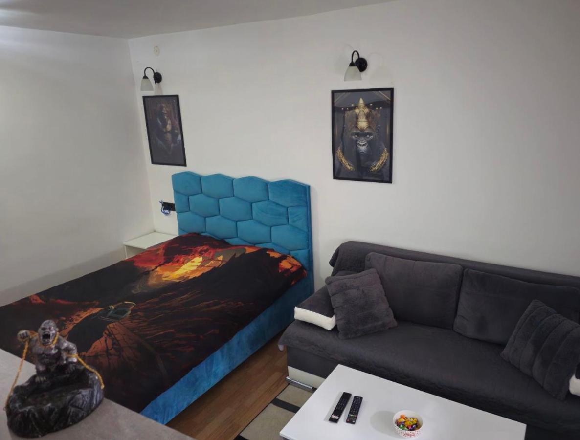 B&B Voždovac - Gorila 1 - Bed and Breakfast Voždovac