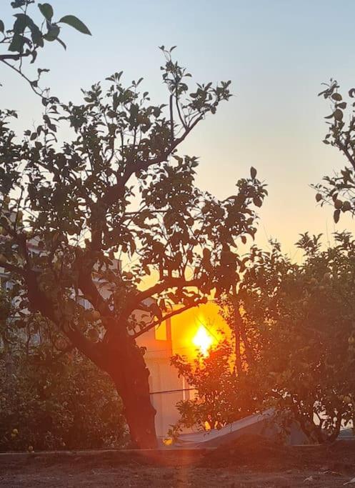 Libirina - B&B Massa Lubrense