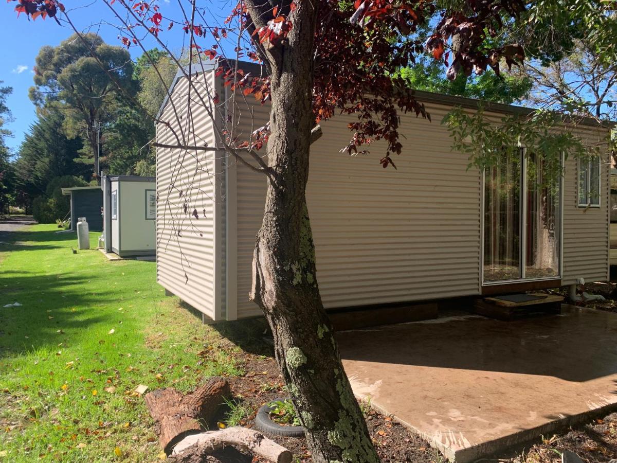 B&B Glen Innes - Blue Sapphire Village Pet Friendly - Bed and Breakfast Glen Innes