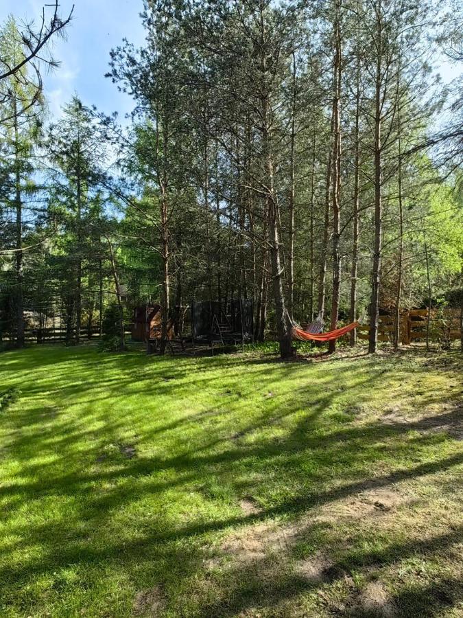 Mazury - Giżycko - Harsz - Domki - ApartMazury Osada - Chambres d’hôtes Nowy Harsz