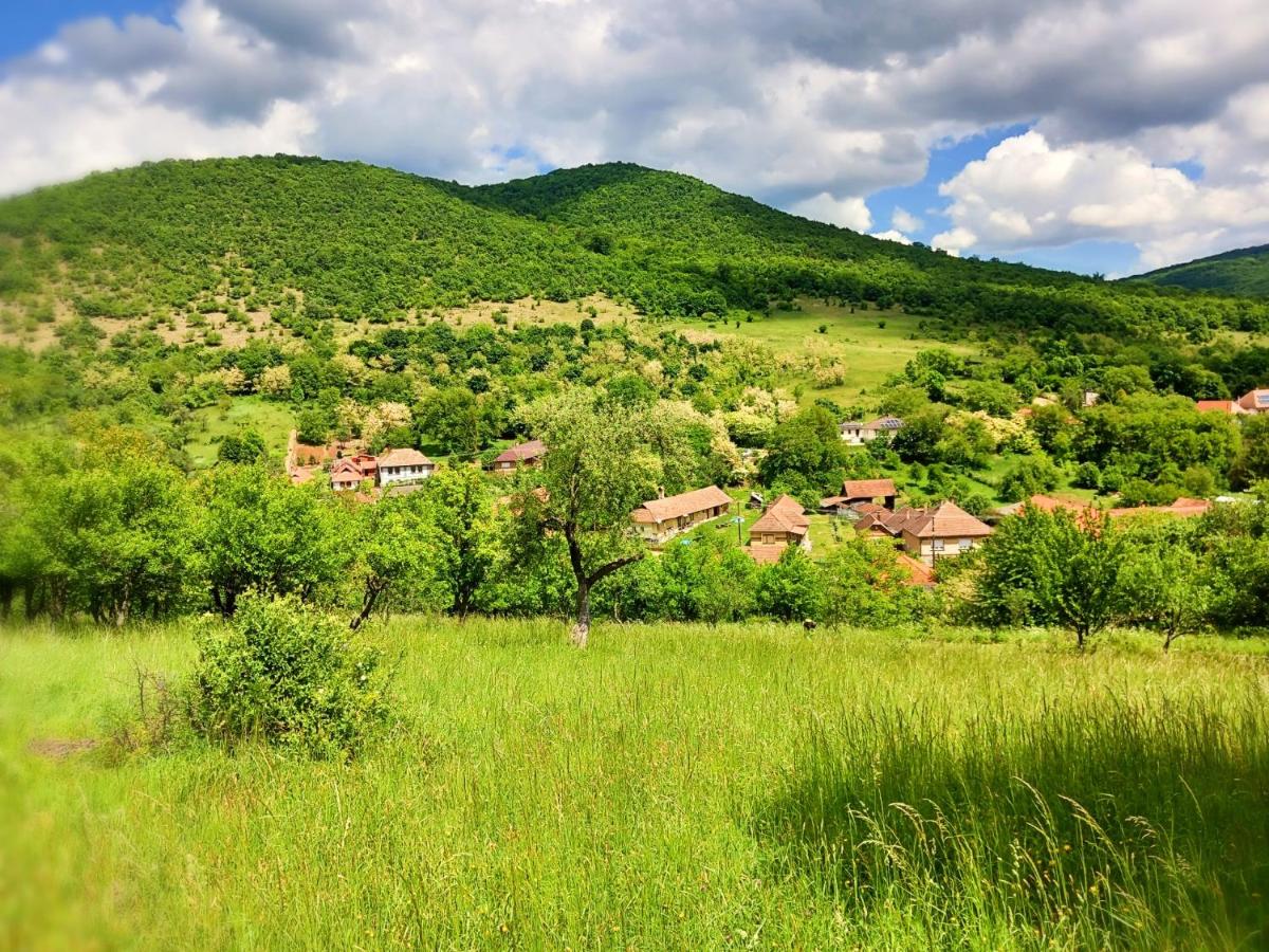 Magdolna Vendégház - Chambres d’hôtes