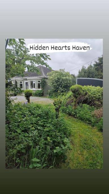 Hidden Hearts Apartment & Hottub - B&B Roscrea