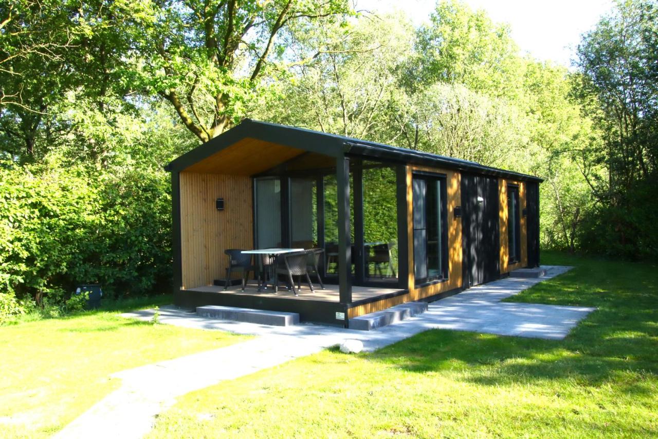 Chalet Lodge - Bed and Breakfast Drijber
