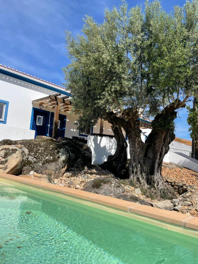 Almojanda 3 olive tree - B&B