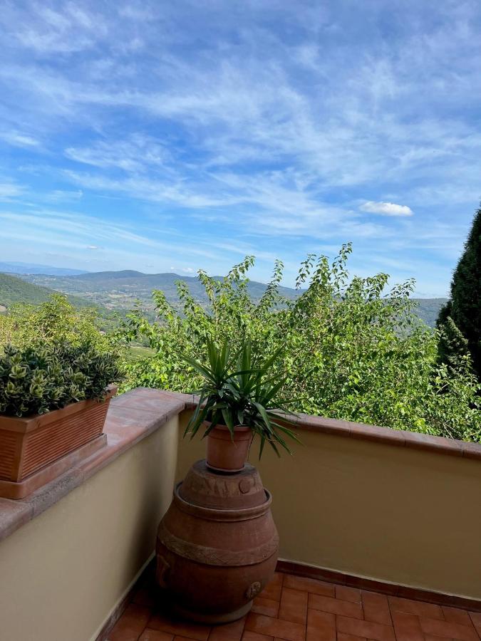 Terrazza a Campana - Chambres d’hôtes