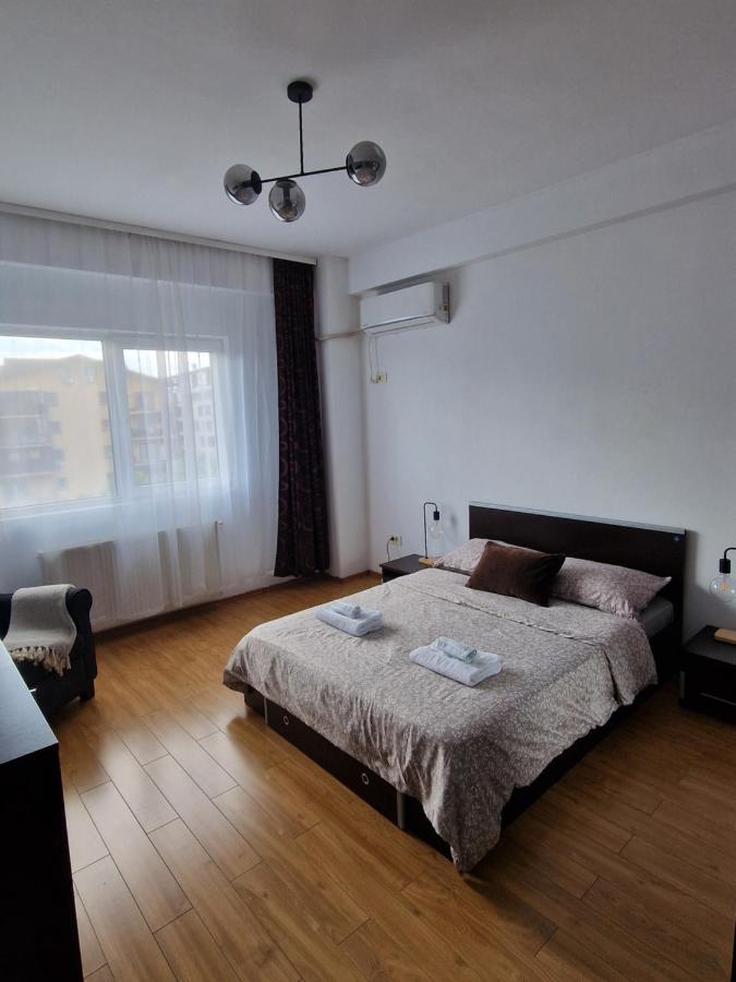 B&B Roșu - Cosy Spacious Apartment with Parking, Wi-Fi, Smart-TV Netflix - Bed and Breakfast Roșu