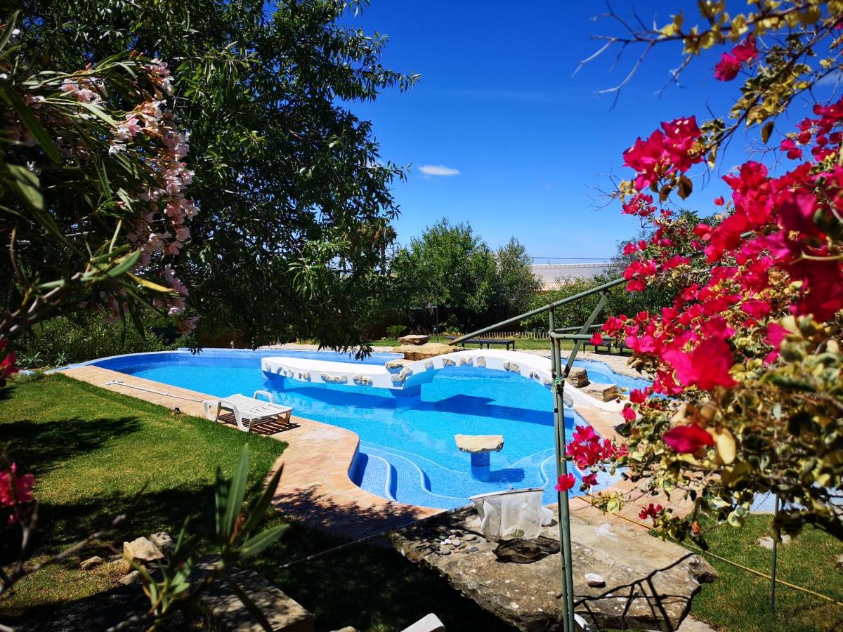 Casa de Pedra e Cal - B&B Vale da Rosa