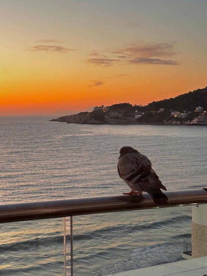 Gray pigeon with speckled feathers perches on metal railing at dog-friendly Casa Mila Apartments & Bungalows in Ulcinj.