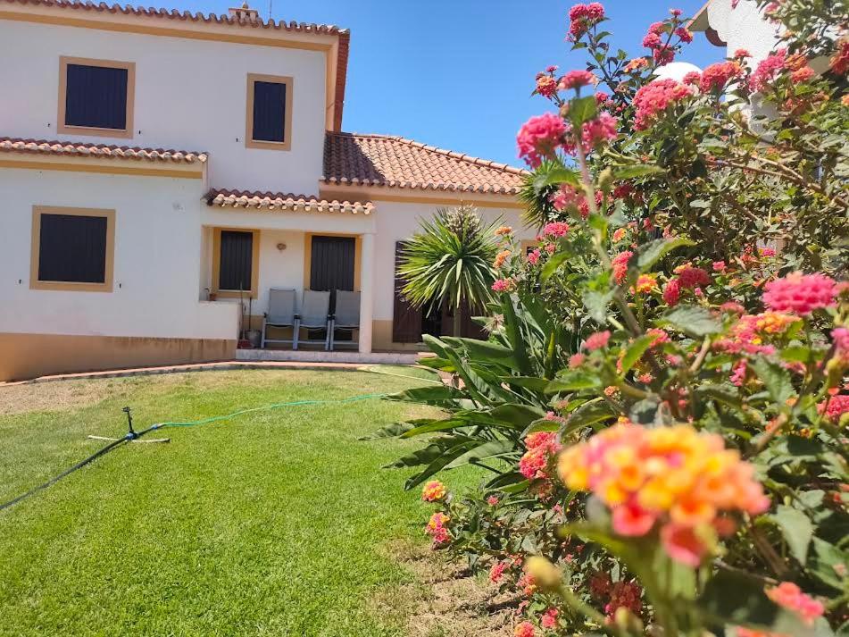 B&B Longueira - A place in the sun - Bed and Breakfast Longueira