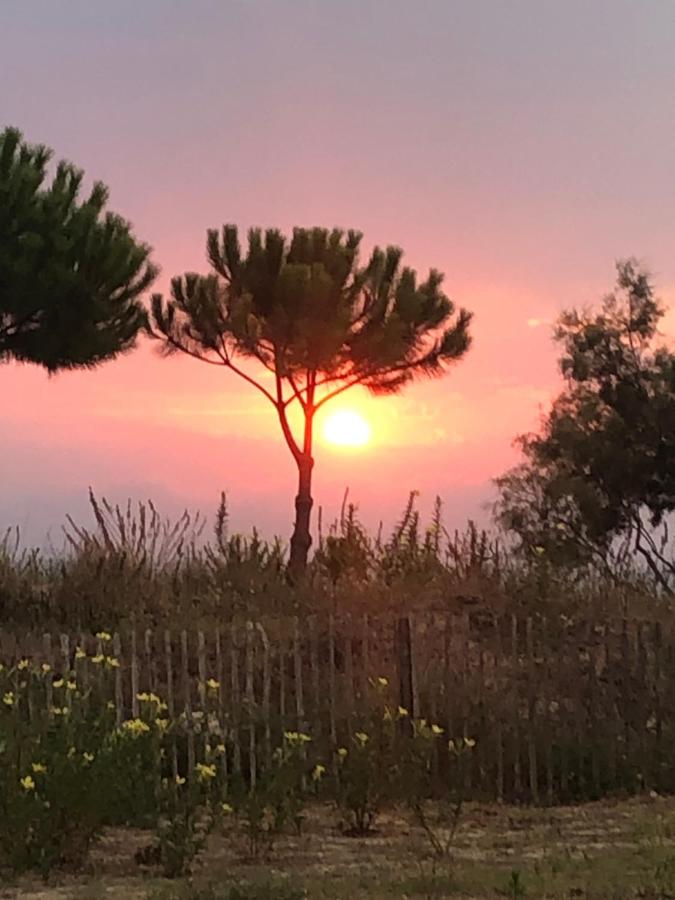 Pieds dans l eau en Camargue - Bed and Breakfast