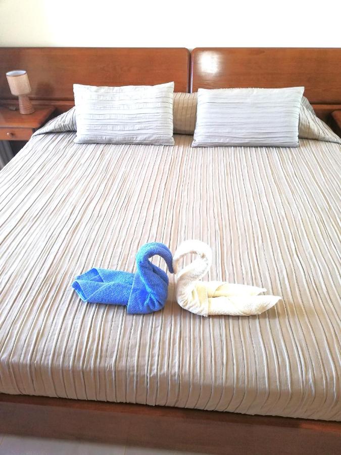Appartement 1 Chambre