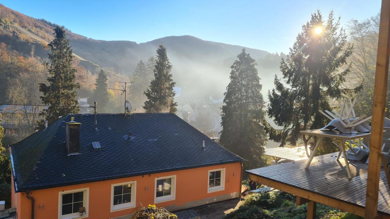 Waldhaus zum gechillten Hirsch in der Natur, bei der Moseltherme Traben-Trarbach - B&B