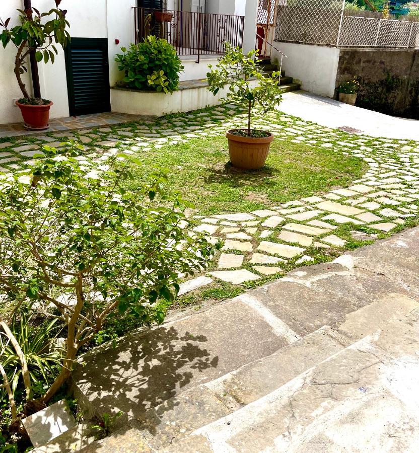 Casa Isetta & La Casetta degli Dei - B&B Massa Lubrense