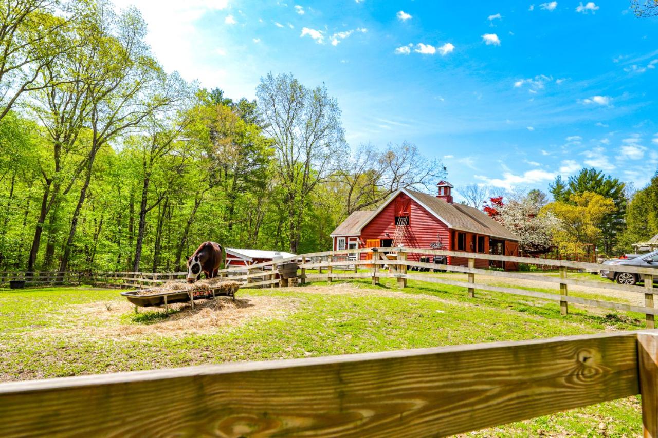 Killingly Barnyard Studio in Wine Country! - B&B