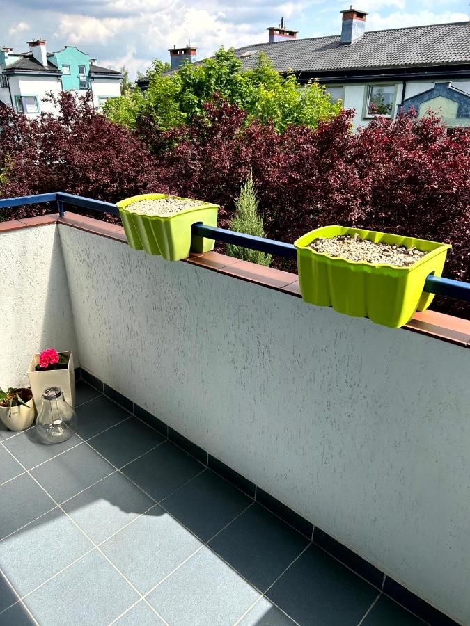 Apartament Kozia - B&B