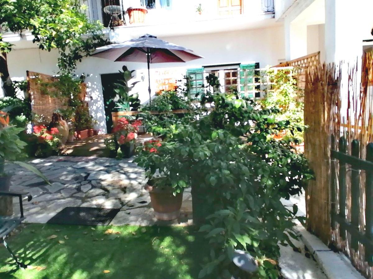 Olga's Cozy Nest , apartment in Ano Korakiana. - B&B Áno Korakiána