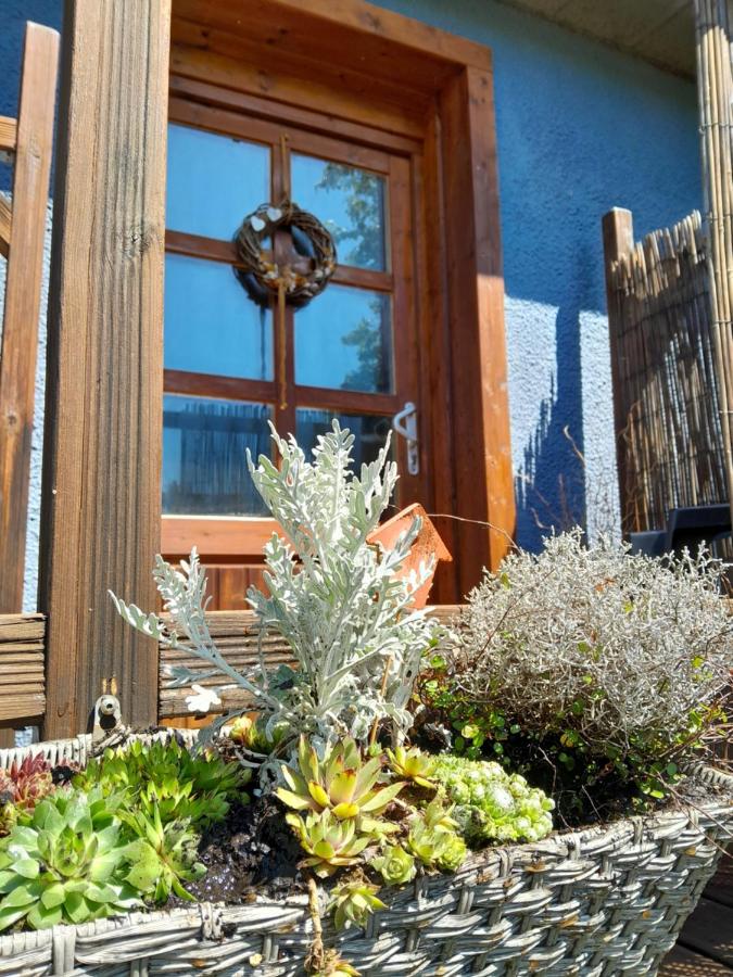 Apartment Süd - Bed and Breakfast