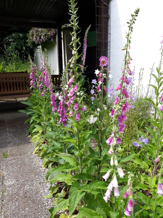 Atelierhaus Tannenweg - B&B Worpswede