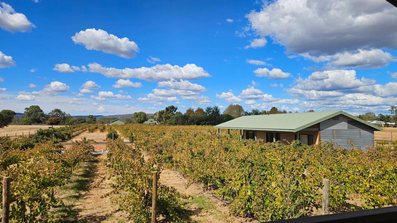 B&B Henley Brook - Albion On Swan - Bed and Breakfast Henley Brook