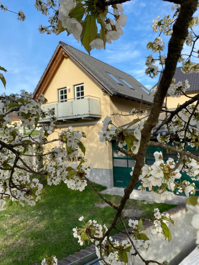 Ferienwohnung in Mariahof - B&B