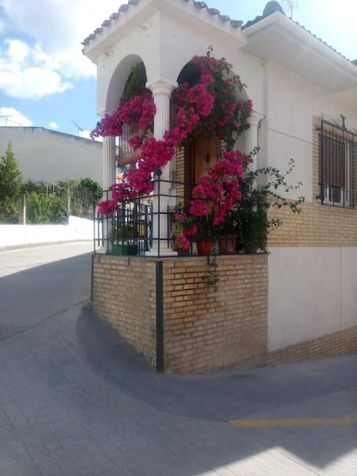 Casa Avellana - B&B