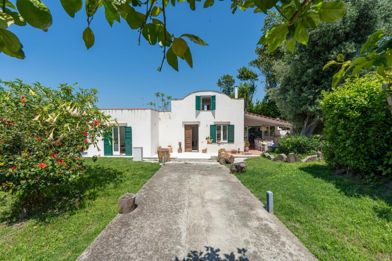 Villa Morea & Rooms in Procida - B&B