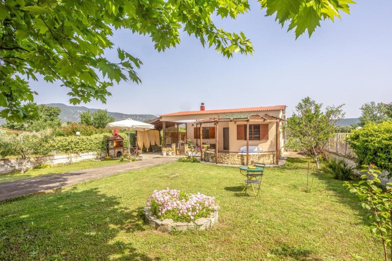 Platanus Retreat - B&B Elaiochóri