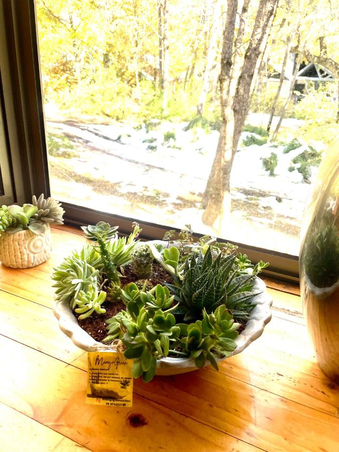 Cabaña las Trancas - B&B Las Trancas