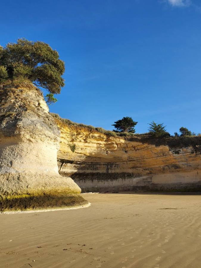 Jolie maison en bois à 600m de la plage des Vergnes - B&B
