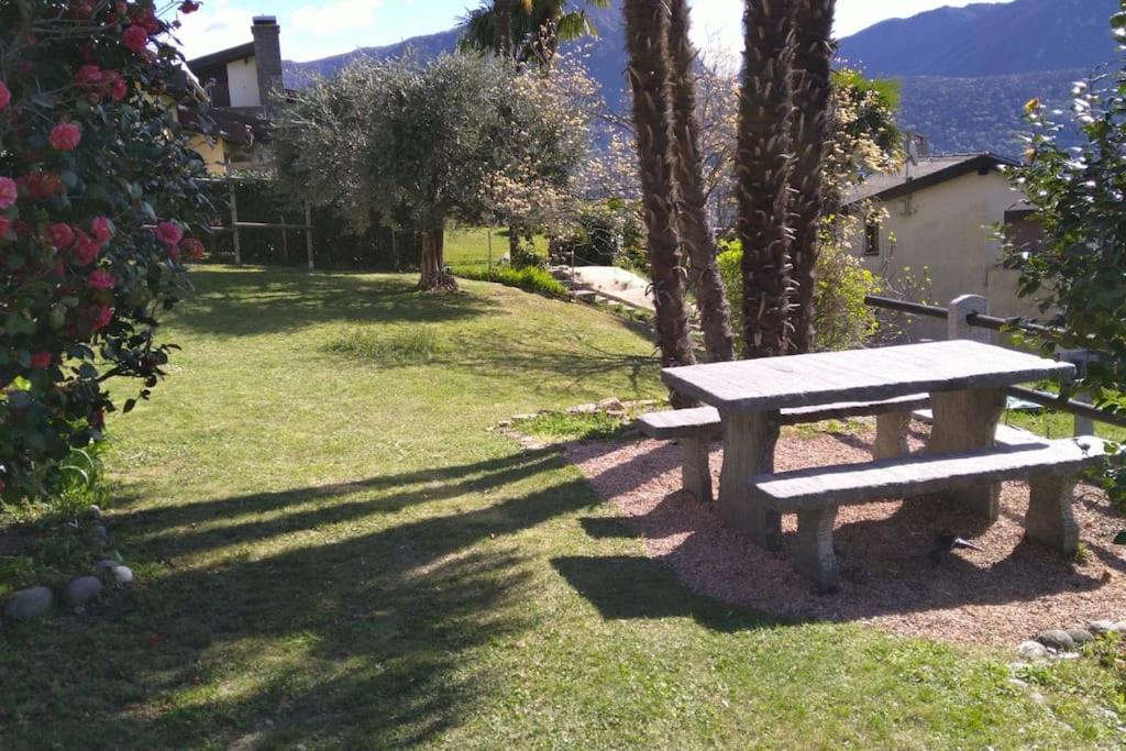 Casa Dolores - B&B