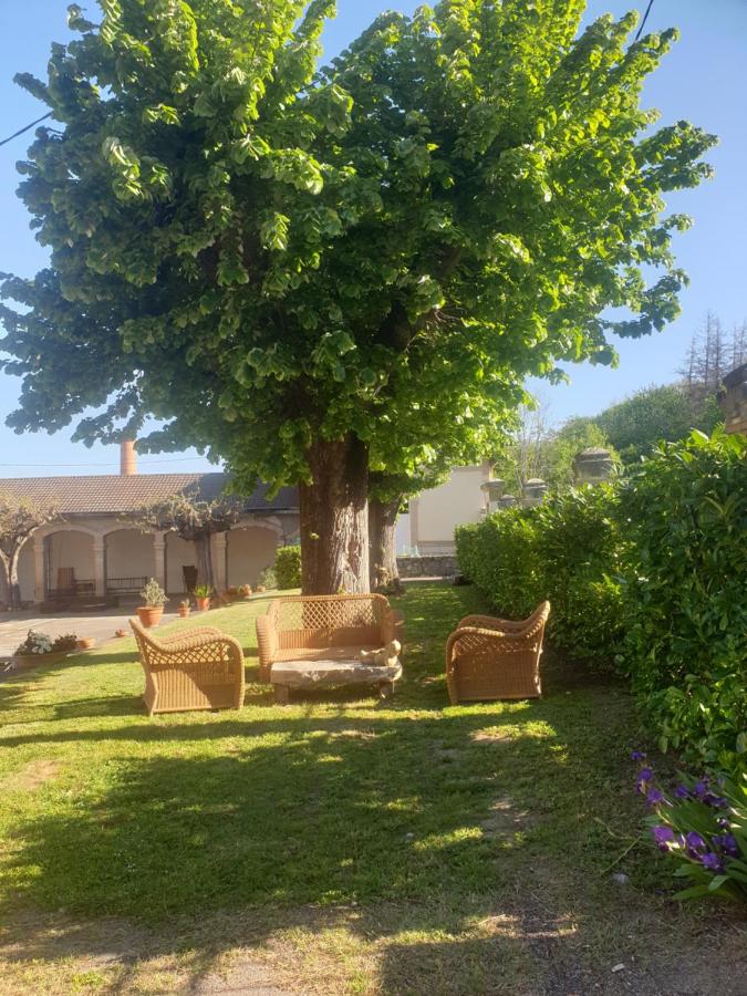 L'école buissonnière - B&B