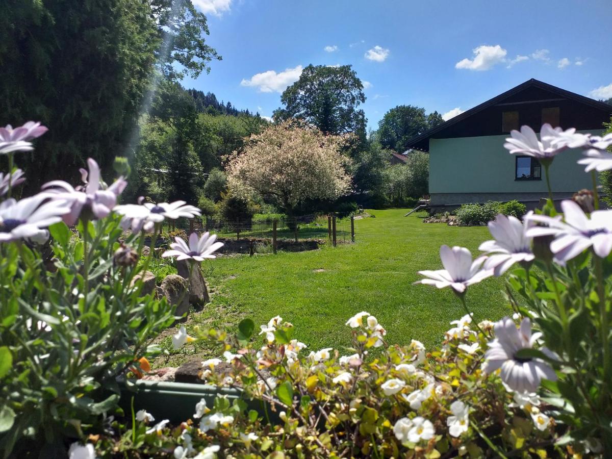Smrek Sokolec Agroturystyka - B&B