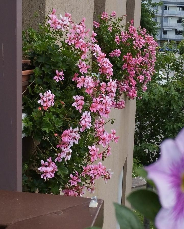 La Dama dei Fiori - B&B Vimercate
