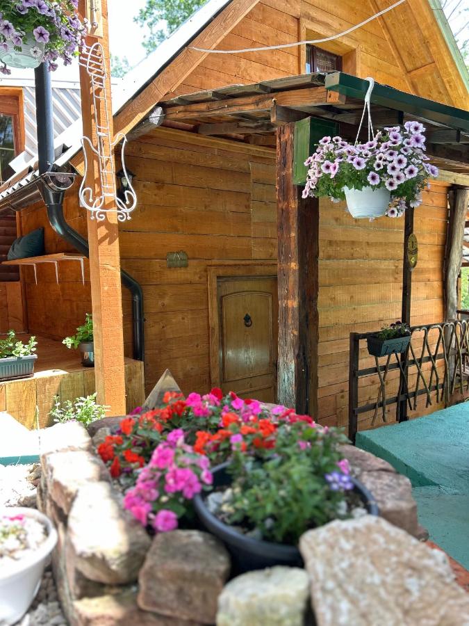 B&B Visoko - NINO Natural wood house - Bed and Breakfast Visoko