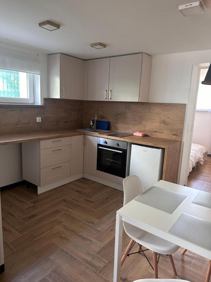 Apartment mit 1 Schlafzimmer