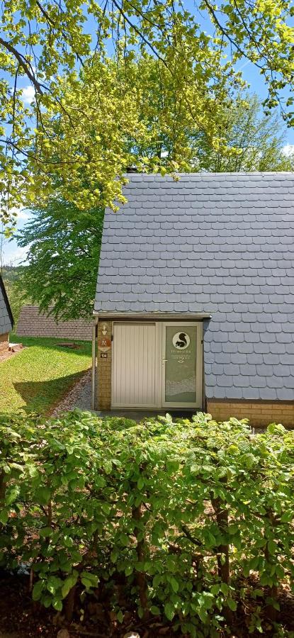 L'Écureuil - Terrasses de Malmedy - B&B