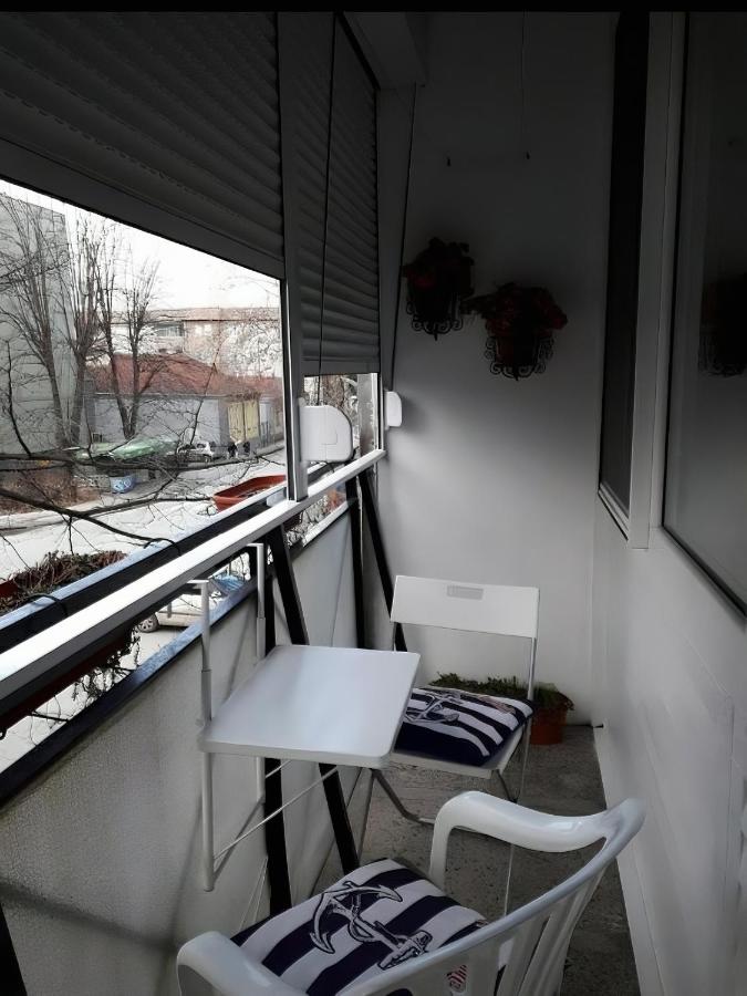 Saluki 032 - Ferienwohnung