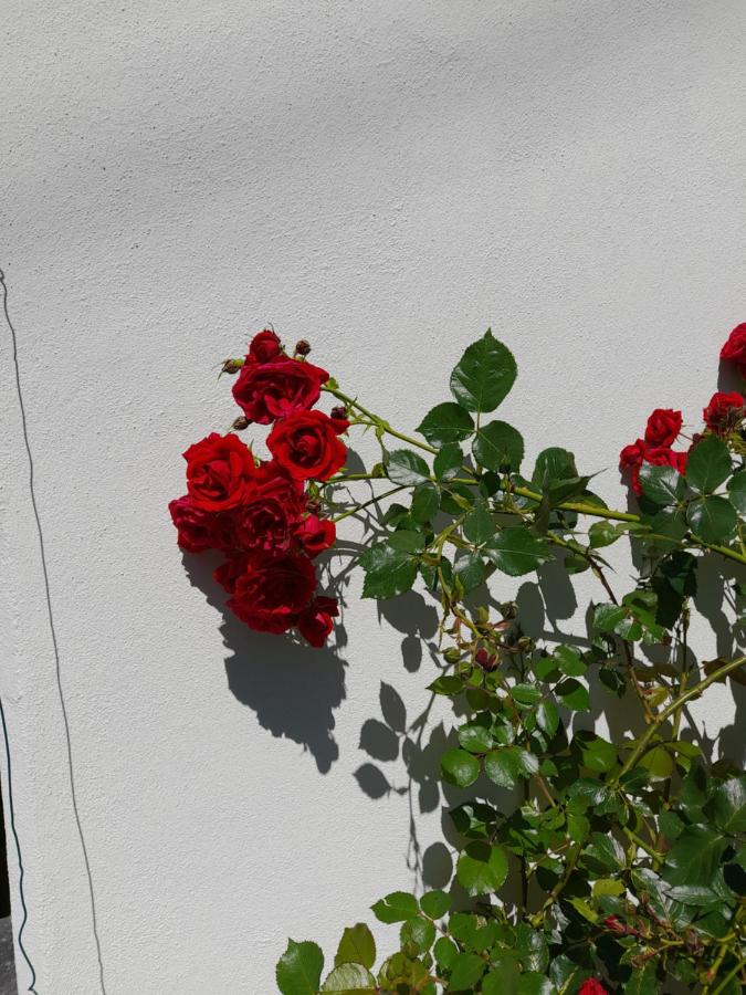 Casa delle rose - B&B Craveggia