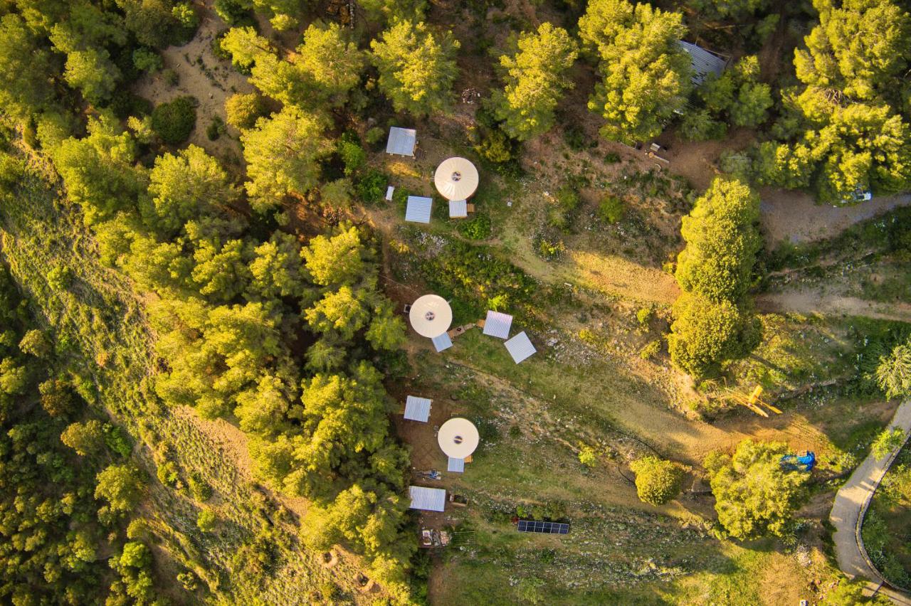 La Muntanera - Eco Yurt - Pool, Nature retreat - Bed and Breakfast