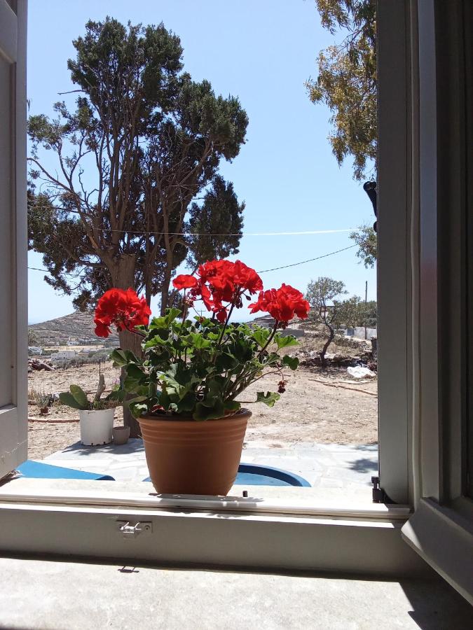 Blue Agave - B&B Ágios Sóstis
