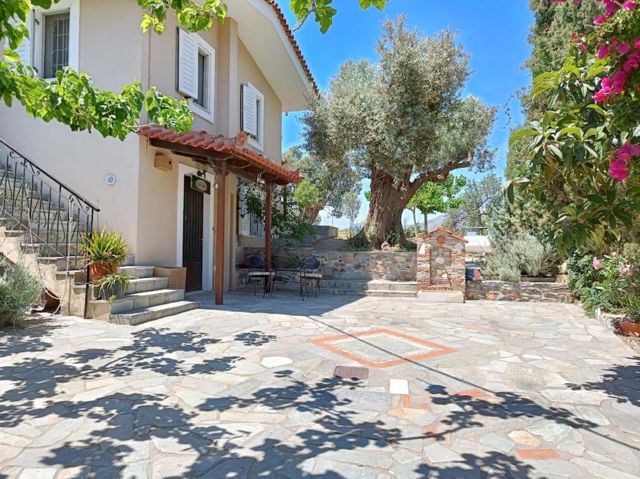 Kato Alonia Home - B&B Áno Váthia