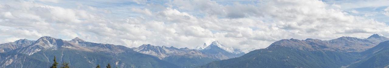 La Marmotte, au cœur du village de Crans, proche du télécabine Cry d'Er - B&B