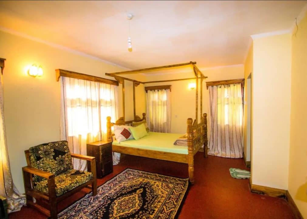 Standard Single Room with Mountain View