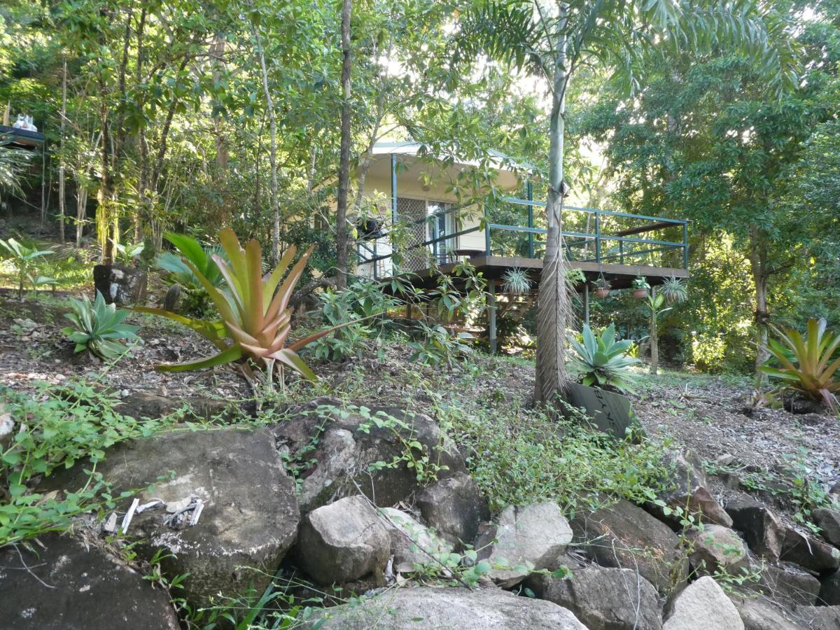 Vista Hinchinbrook - B&B Cardwell